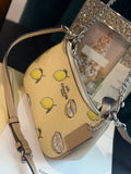 COACH LADIES BAG