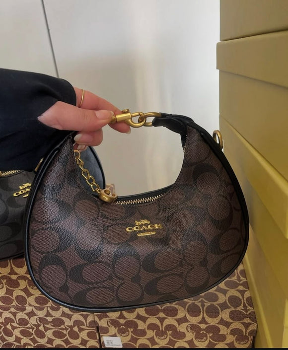 COACH LADIES BAG