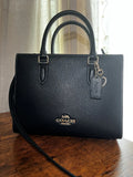 COACH LADIES BAG