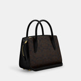 COACH LADIES BAG