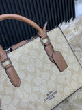 COACH LADIES BAG