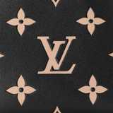 LV LADIES BAG