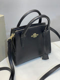 COACH LADIES BAG