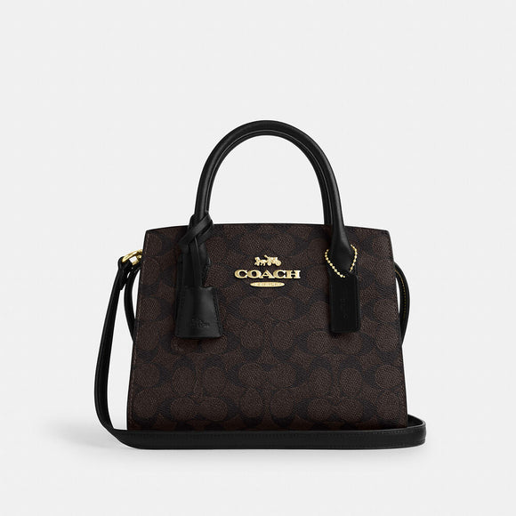 COACH LADIES BAG
