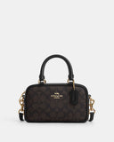 COACH LADIES BAG