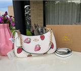 COACH LADIES BAG