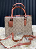 COACH LADIES BAG